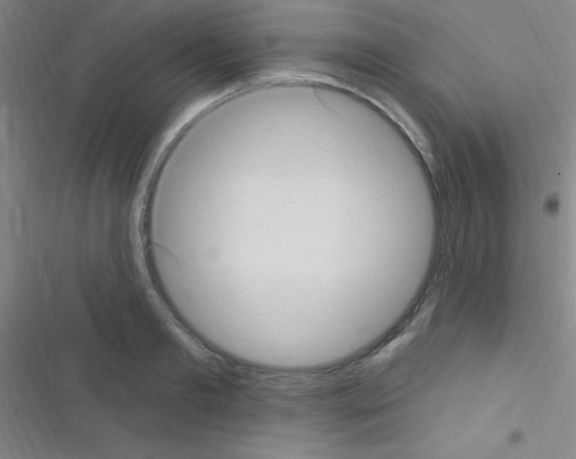 X0000116590893201001211323