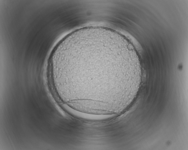 X0000116590894201001211323