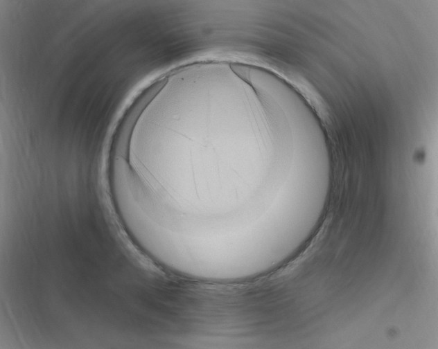 X0000116590896201001211323