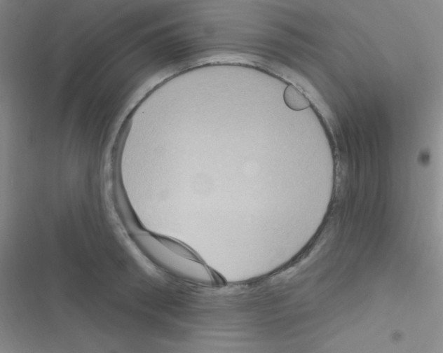 X0000116590898201001211323