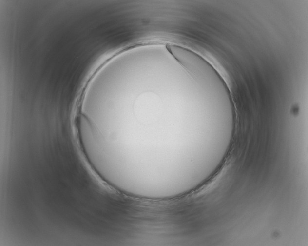 X0000116590901201001211323