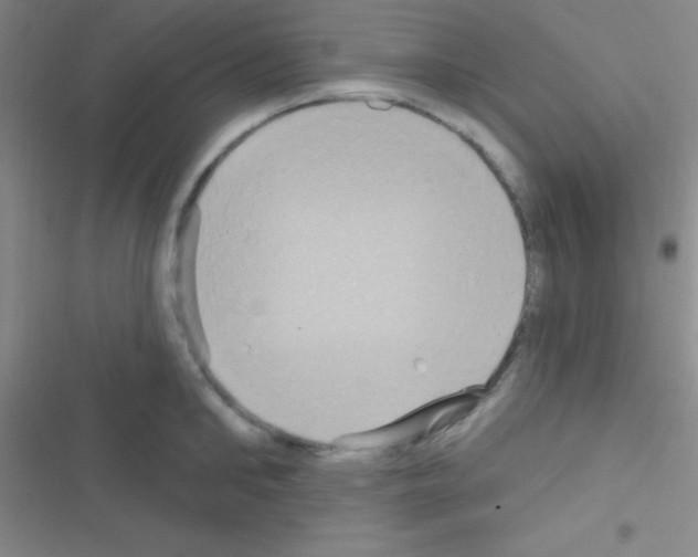 X0000116590902201001211323