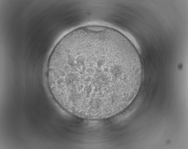 X0000116590903201001211323