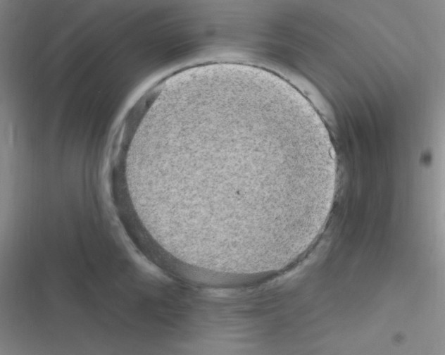 X0000116590904201001211323