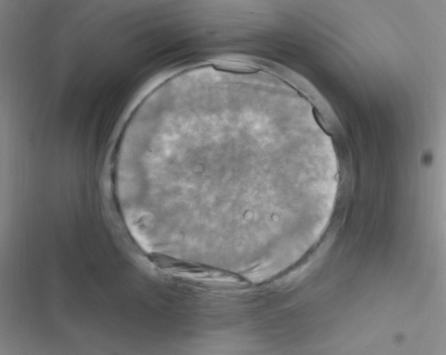 X0000116590908201001211323