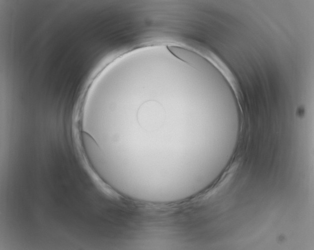 X0000116590909201001211323