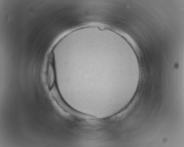 X0000116590910201001211323