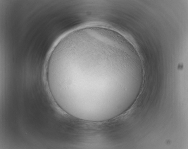 X0000116590912201001211323