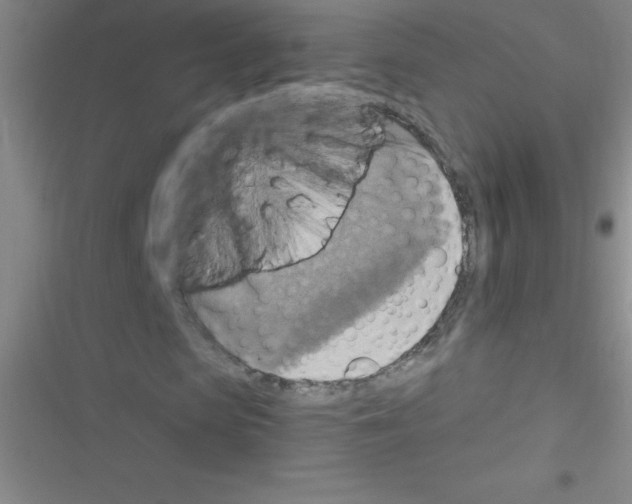 X0000116590913201001211323