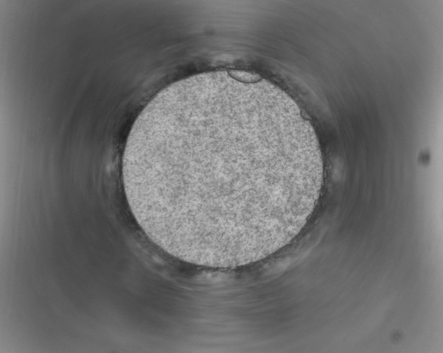 X0000116590914201001211323