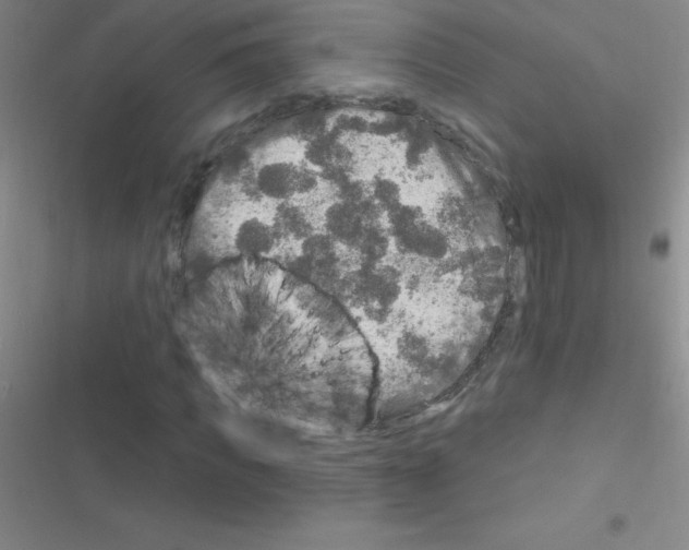 X0000116590917201001211323