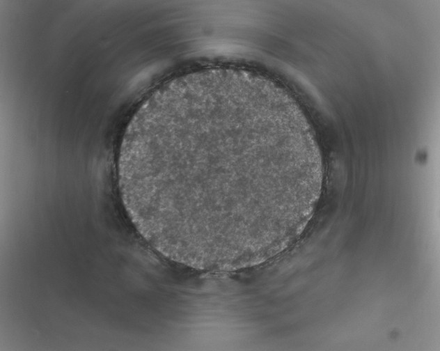 X0000116590918201001211323