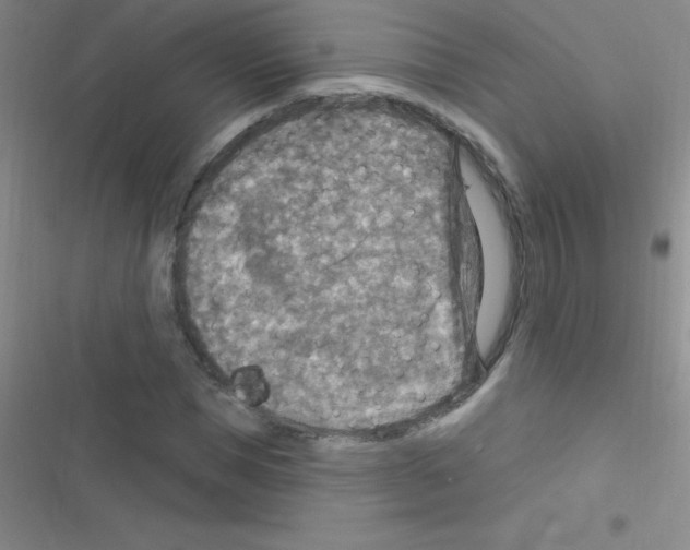 X0000116590921201001211323