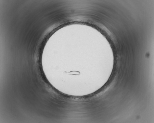 X0000116590922201001211323