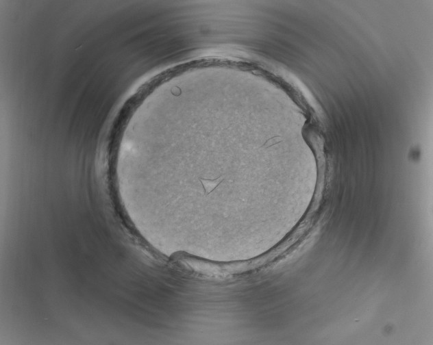 X0000116590923201001211323