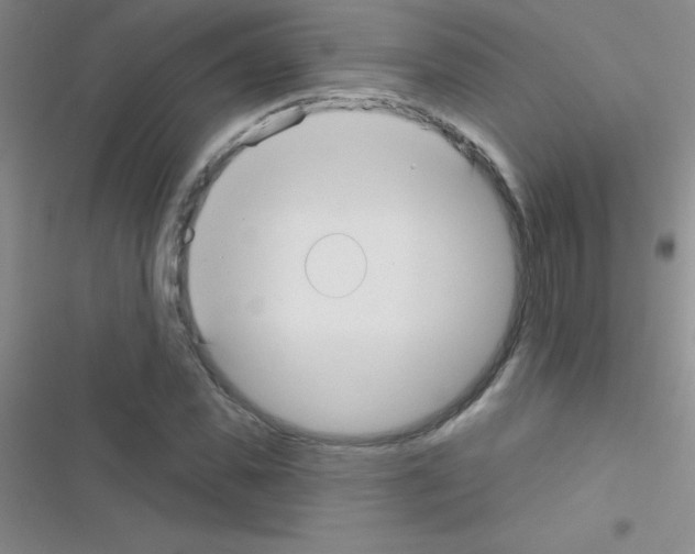 X0000116590925201001211323