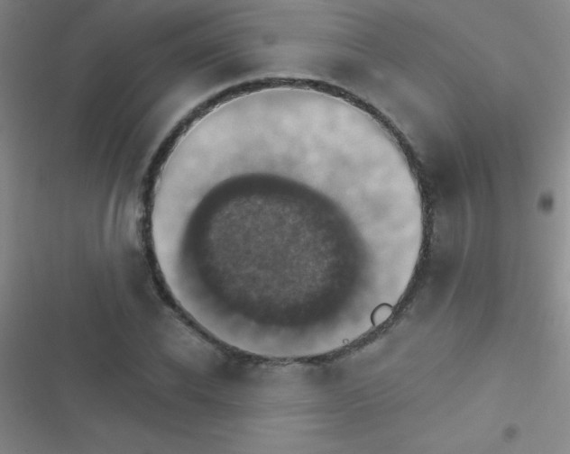 X0000116590926201001211323