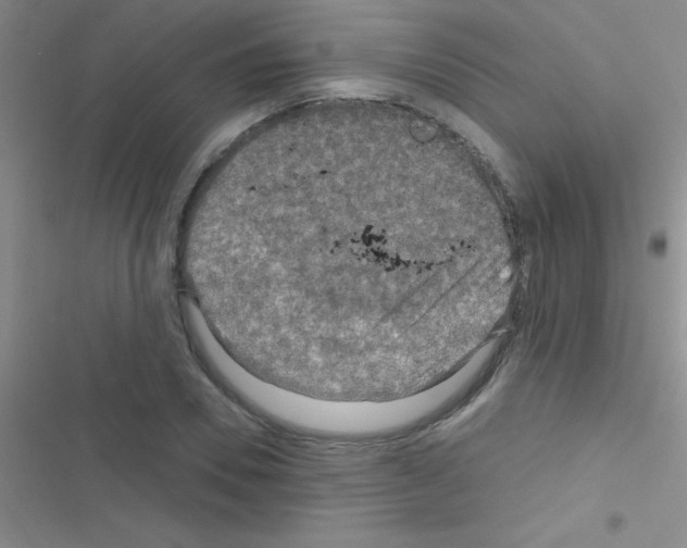 X0000116590930201001211323