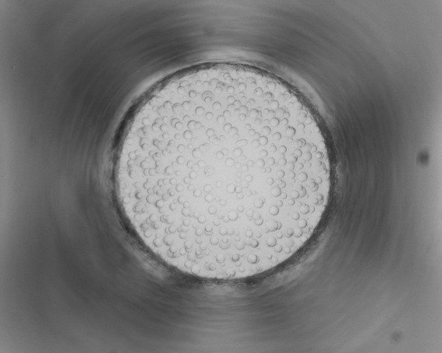 X0000116590931201001211323