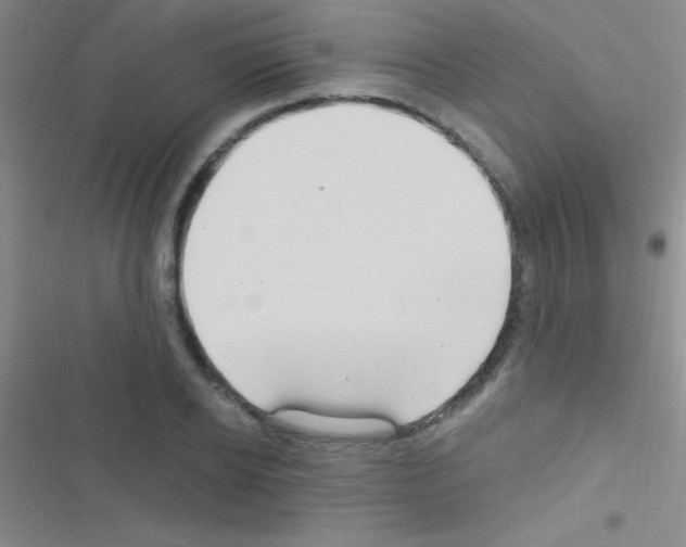 X0000116590934201001211323