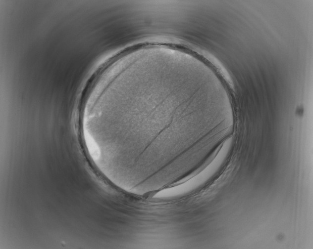 X0000116590935201001211323