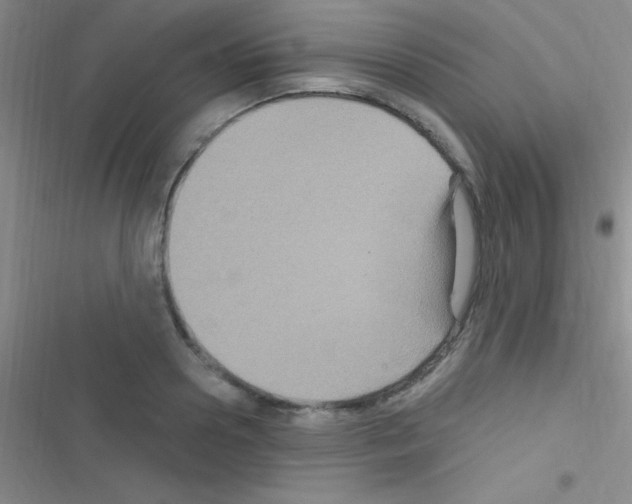 X0000116590938201001211323