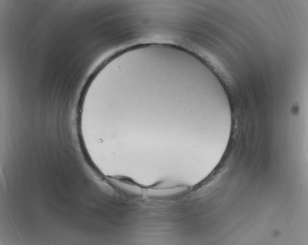 X0000116590942201001211323