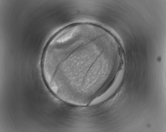 X0000116590943201001211323