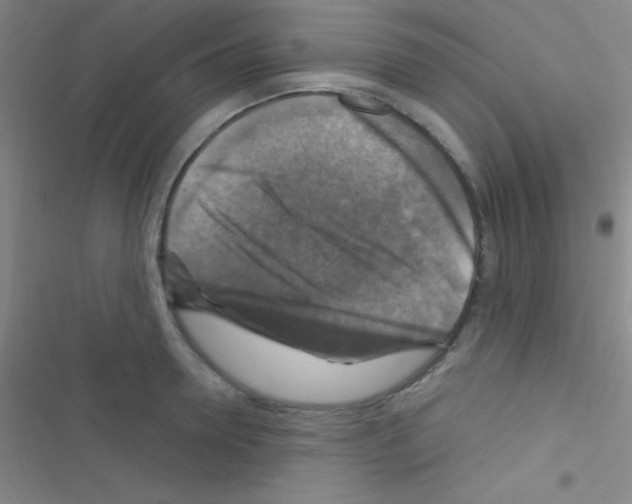 X0000116590946201001211323