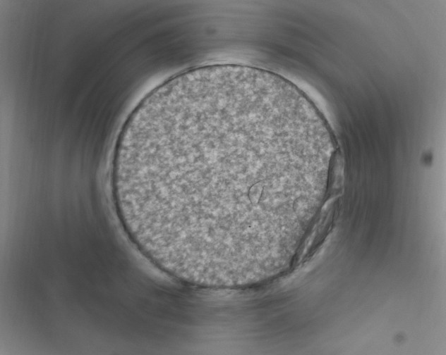 X0000116590949201001211323