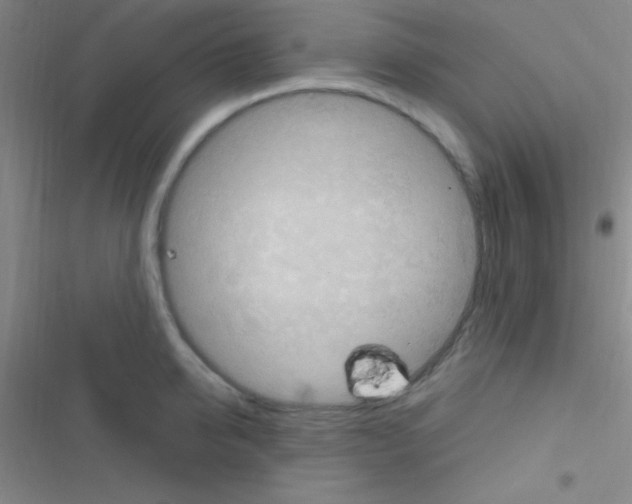 X0000116590950201001211323