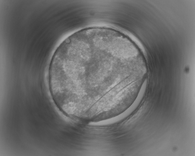 X0000116590951201001211323