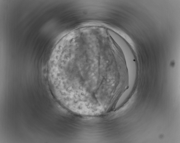 X0000116590953201001211323