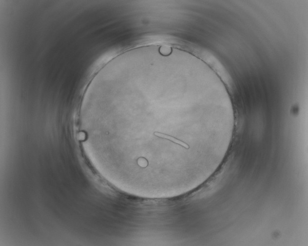 X0000116590954201001211323