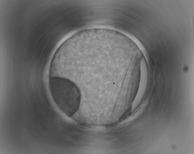 X0000116590957201001211323