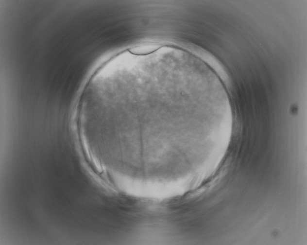 X0000116590958201001211323