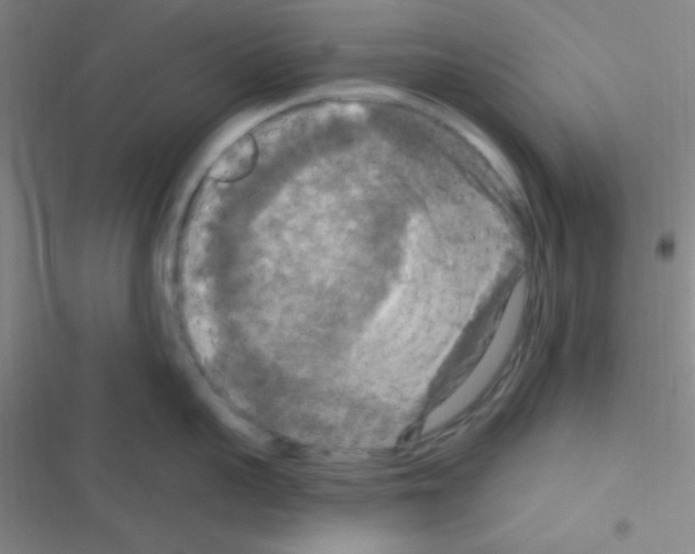 X0000116590959201001211323