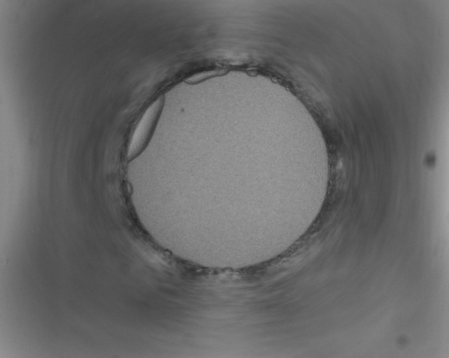 X0000116590961201001211323