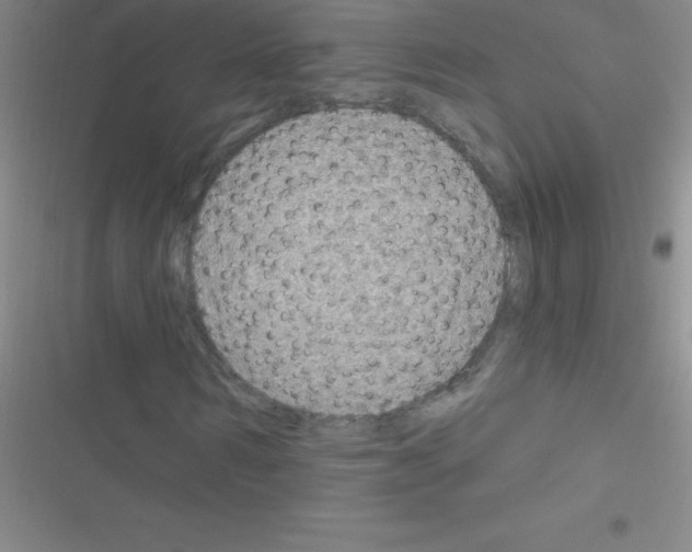 X0000116590962201001211323