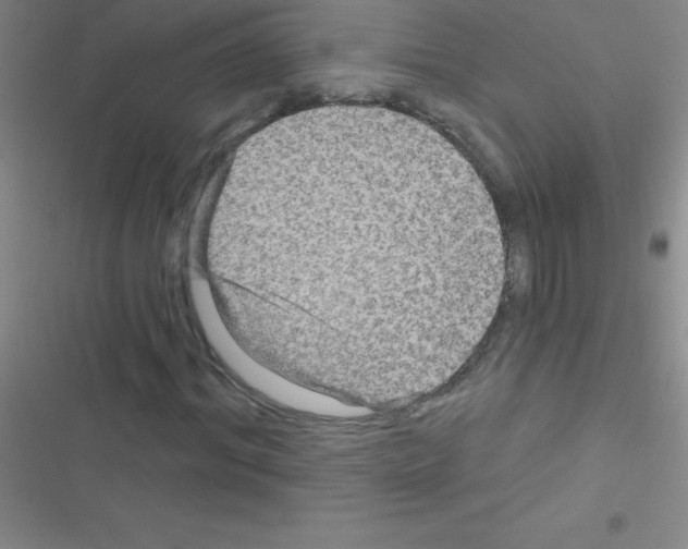 X0000116590964201001211323