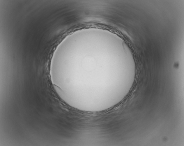 X0000116590965201001211322