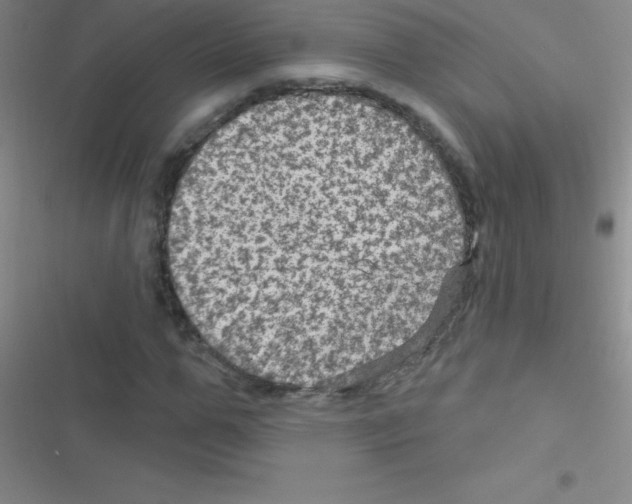 X0000116590967201001211322