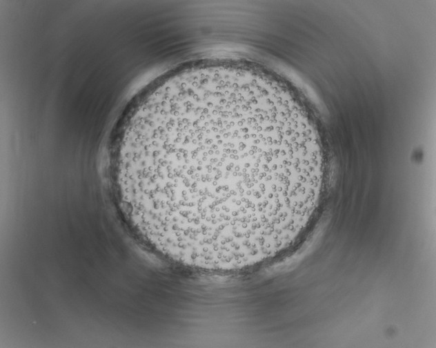 X0000116590970201001211322