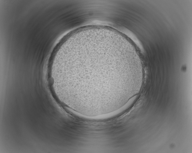 X0000116590972201001211322