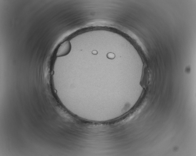 X0000116590973201001211322