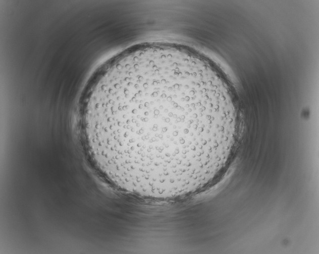 X0000116590974201001211322