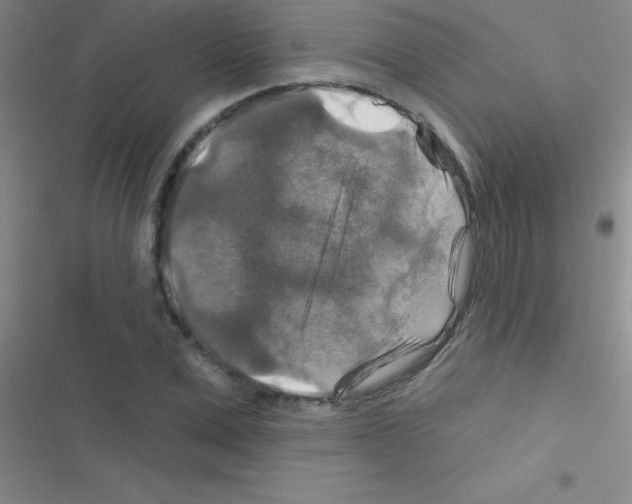 X0000116590975201001211322