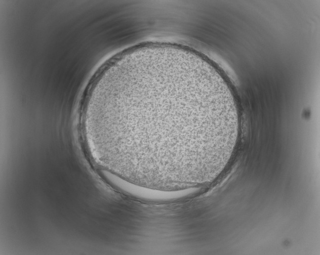 X0000116590976201001211322