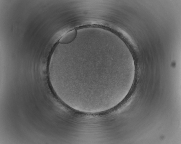 X0000116590977201001211322