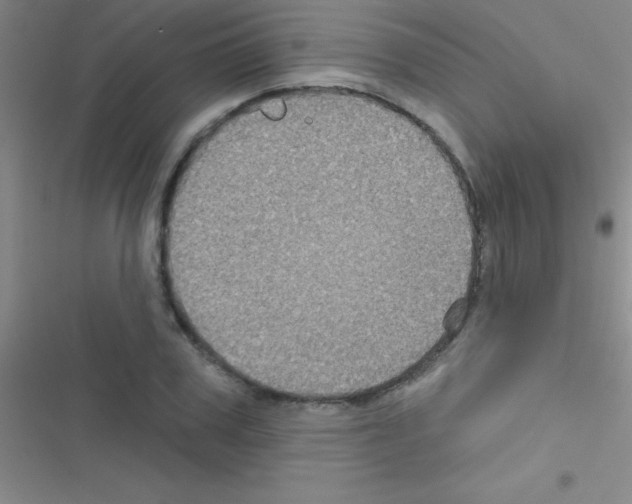 X0000116590979201001211322